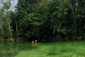 Passeios Lagoa do Coroatá – Cachoeira Grande/MA